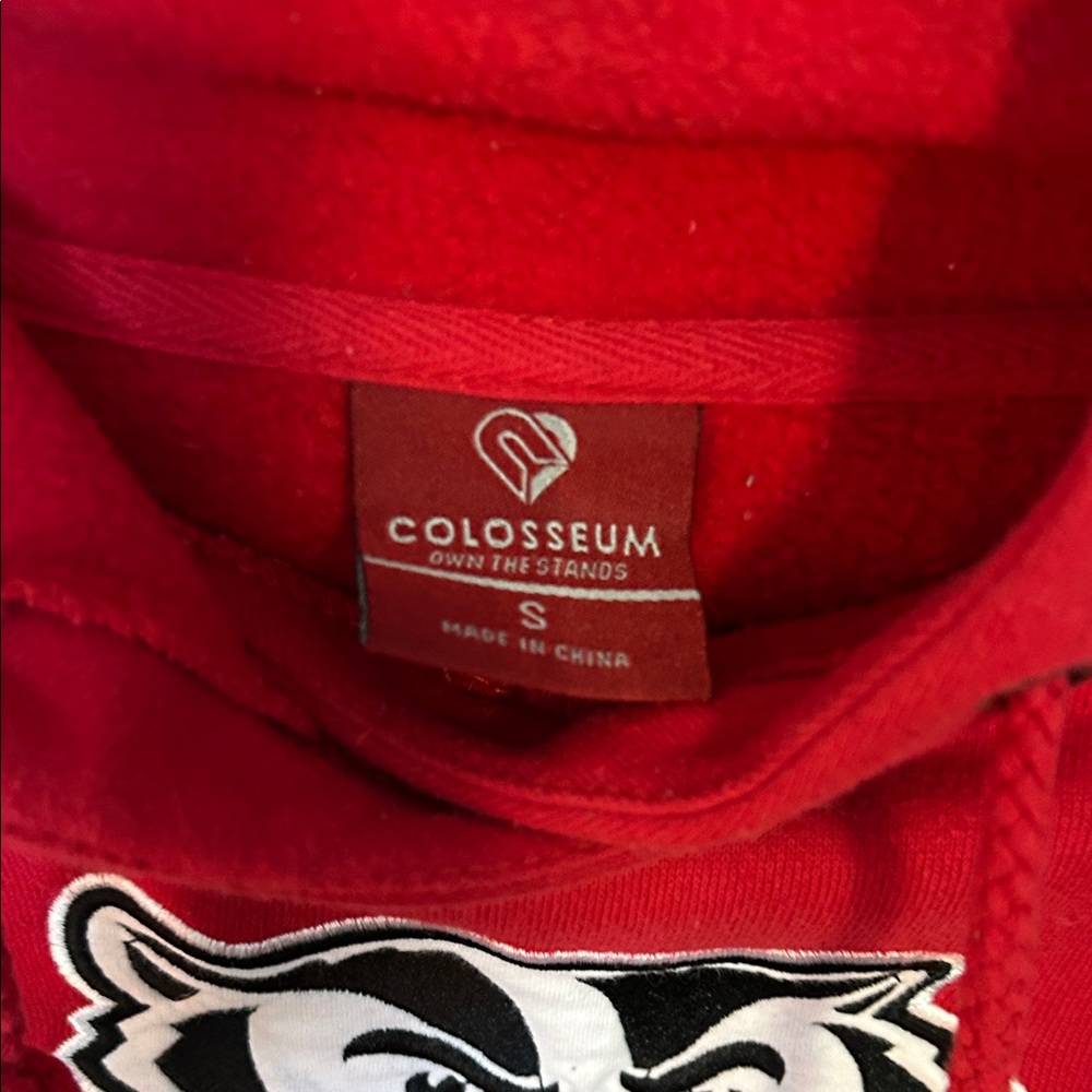 Colosseum Red Hoodie with appliqué Bucky badger Mascot Design - Picture 2 of 4